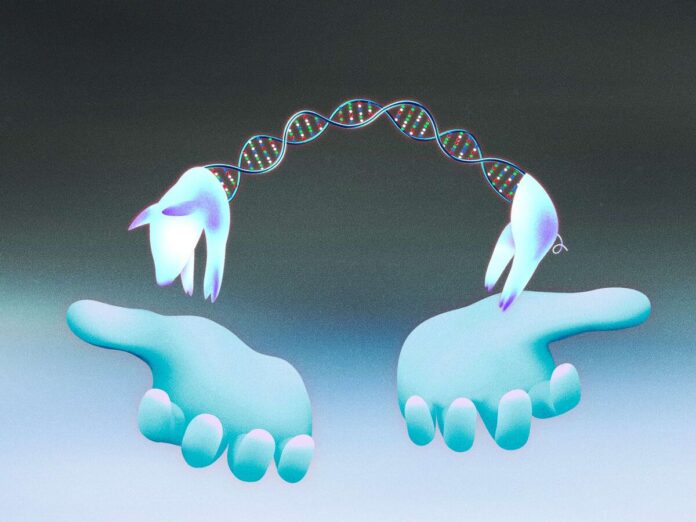 China Pushes Boundaries With Animal Testing to Win Global Biotech Race