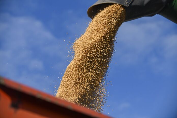 Soybeans Jump on Signs of Easing US-China Trade Tensions